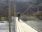 boi-taull 025.jpg