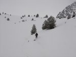 DSC05723.JPG