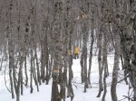 DSC05726.JPG
