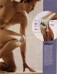 rodilla02.jpg