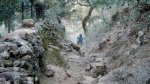 DSCN3684.jpg