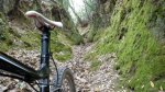 DSCN5529.jpg