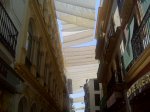IMG00070.jpg