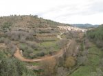 IMG_3457 (Copiar).JPG