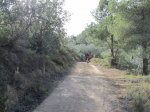 IMG_3484 (Copiar).JPG