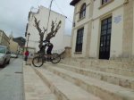 CIMG3651 (Copiar).JPG
