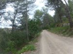 GOPR0074 (frame 3079)_800x600.jpg