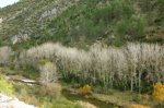 P1060560_800x533.jpg