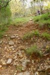 P1060608_400x600.jpg