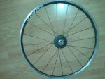 IMG-20121119-WA0002.jpg