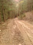 IMG_20121216_122406.jpg