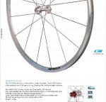 resized_cole-catalogue.jpg