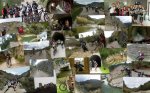 COLLAGE villalonga 15.12.12_800x500.jpg
