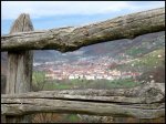 IMG_1803 copia.jpg