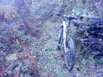DSC07437.JPG