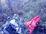 DSC07438.JPG