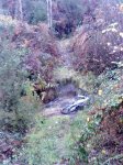 DSC07439.JPG