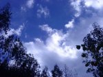 DSC07440.JPG