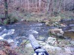 DSC07443.JPG
