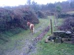 DSC07445.JPG
