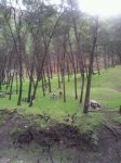 IMG-20121216-WA0013.jpg