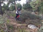 IMG_3162.jpg