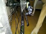 2012-11-13_13-25-49_116.jpg