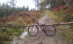 20121216_165042.jpg