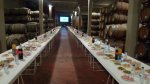bodega antes.jpg