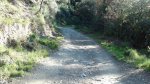 DSC05327.jpg