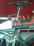 2012-12-11 12.46.06.jpg