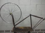 CAM00165-1.jpg