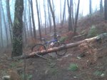 2012-12-021.jpg