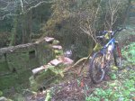 2012-12-023.jpg