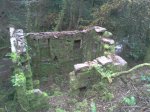 2012-12-024.jpg