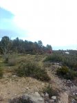 Imagen1636.jpg