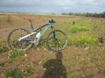 Occam 29er S10 (2).jpg