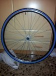 20121220_184714.jpg