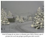 Navidad2012_correo.jpg