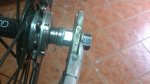 dsc0426hl.jpg
