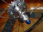 DSC01309 - copia.JPG