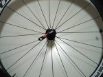 delantera-detalle.jpg