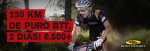 banners-bike-CASTEL-rudy1.jpeg