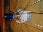 DSC01314 - copia.JPG