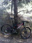 bike.jpeg