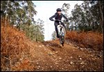 elias-salto.jpg