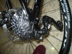 PB140238.JPG