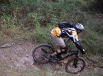 IMGP3422_foro.JPG