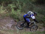 IMGP3426_foro.JPG