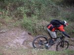 IMGP3424_foro.JPG